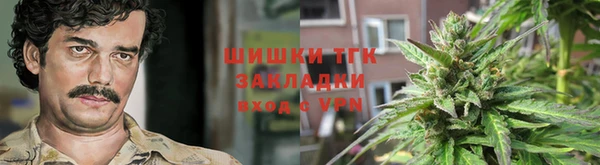 дмт Арсеньев