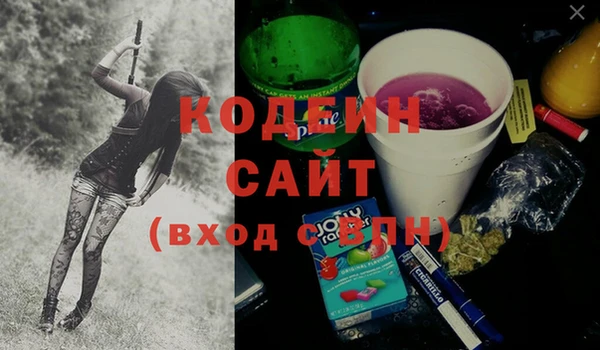 дмт Арсеньев